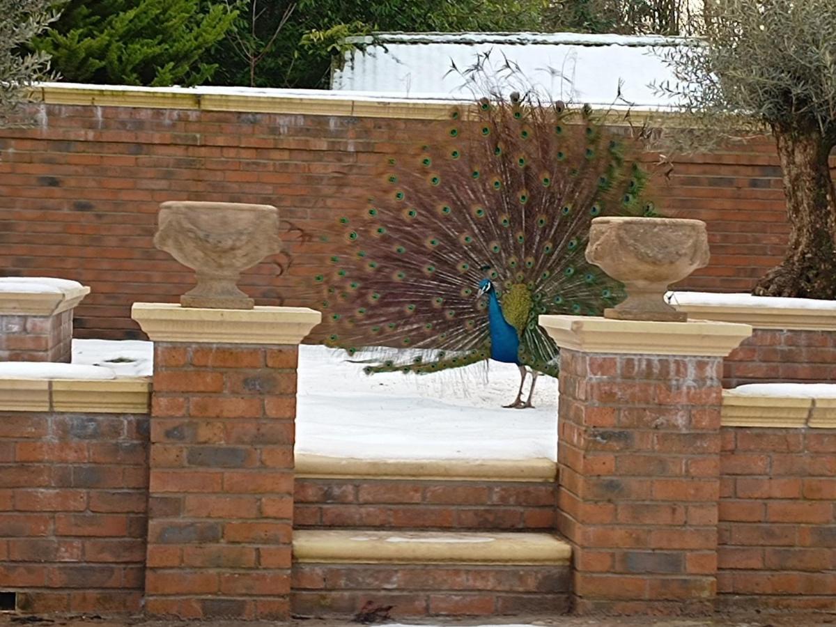 The West Wing At Eriviat Hall Hot Tub Henllan  Luaran gambar