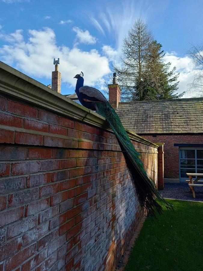 The West Wing At Eriviat Hall Hot Tub Henllan  Luaran gambar